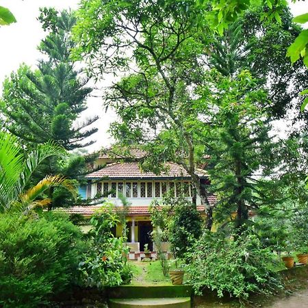 Pillowrocks Homestay Wayanad Kalpetta Exterior photo